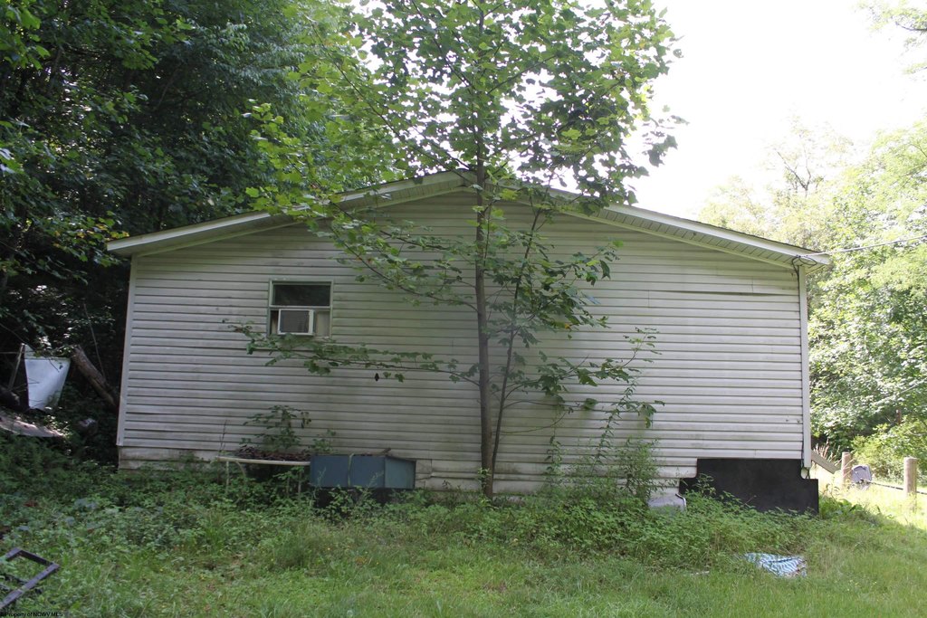 Picture 9