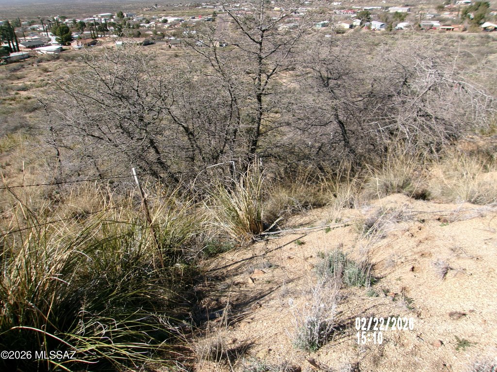 Picture 19