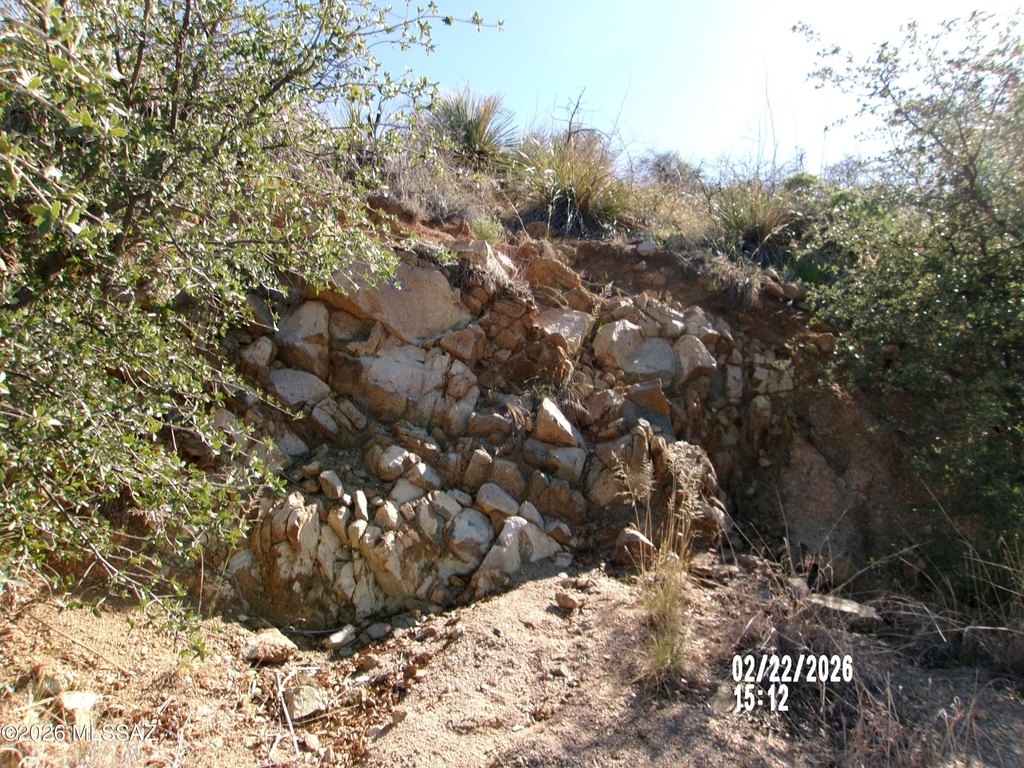 Picture 20