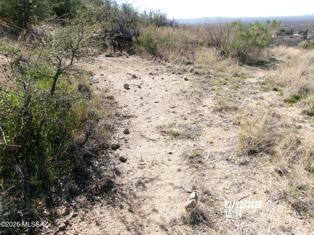 Picture 25