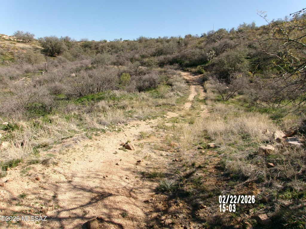 Picture 8