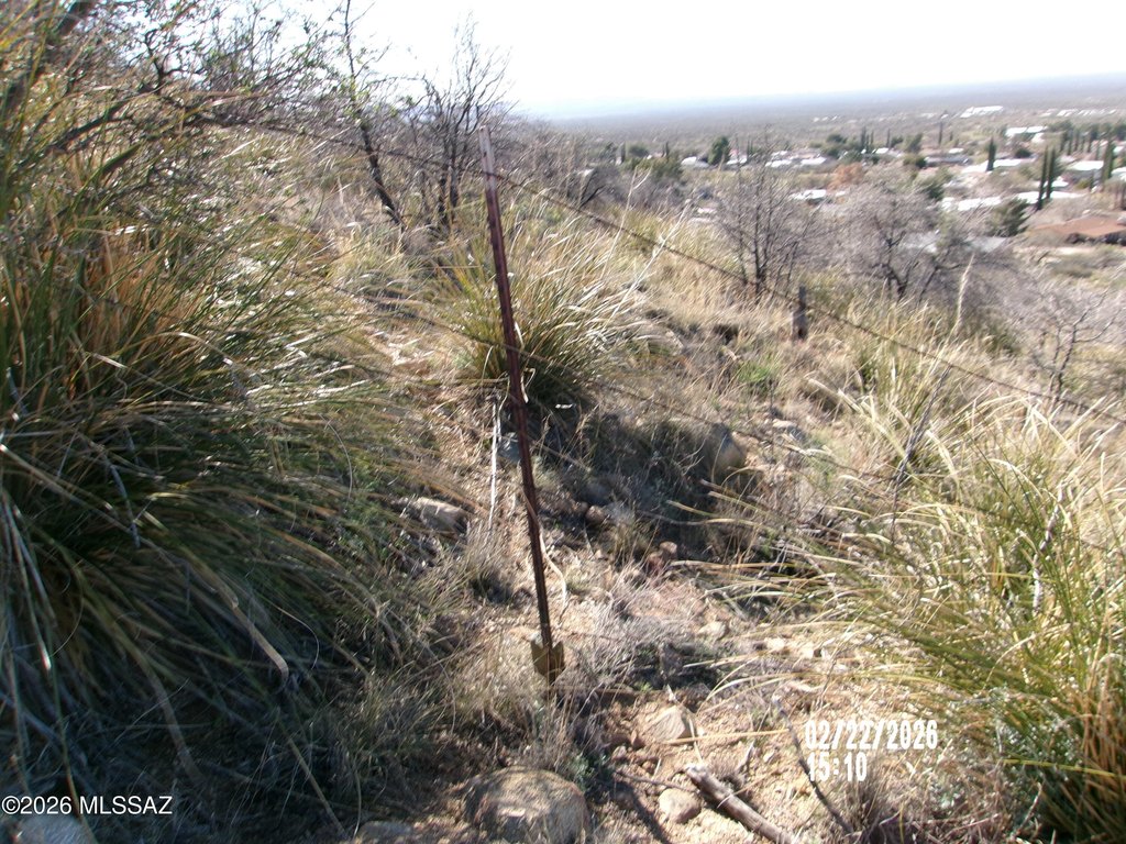 Picture 18
