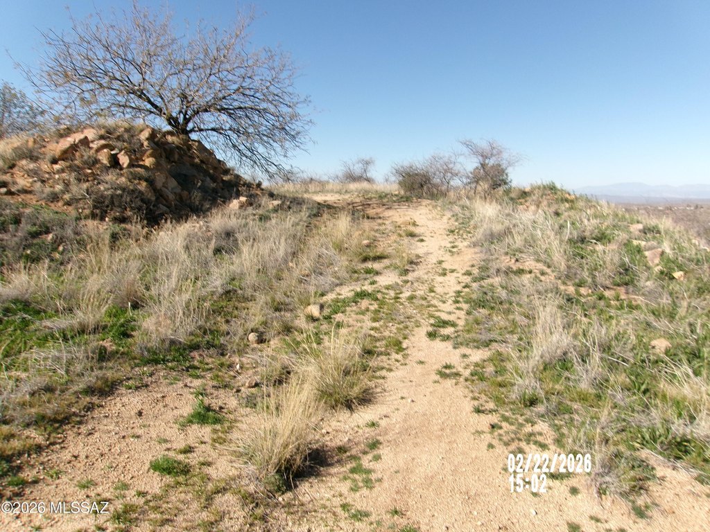 Picture 7