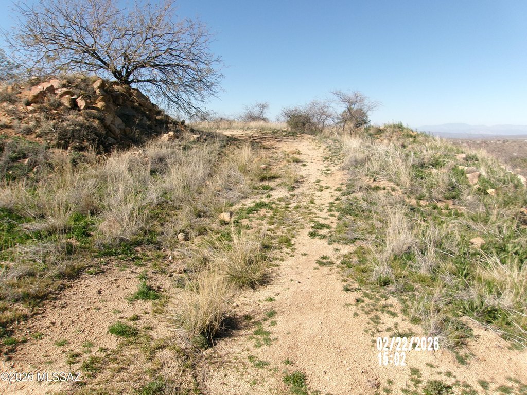 Picture 6