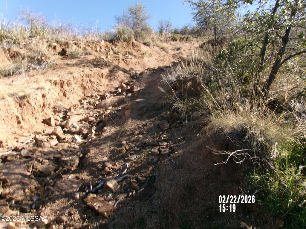 Picture 28