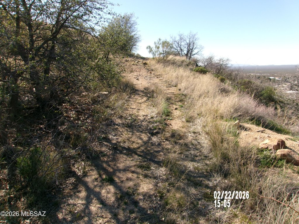 Picture 11