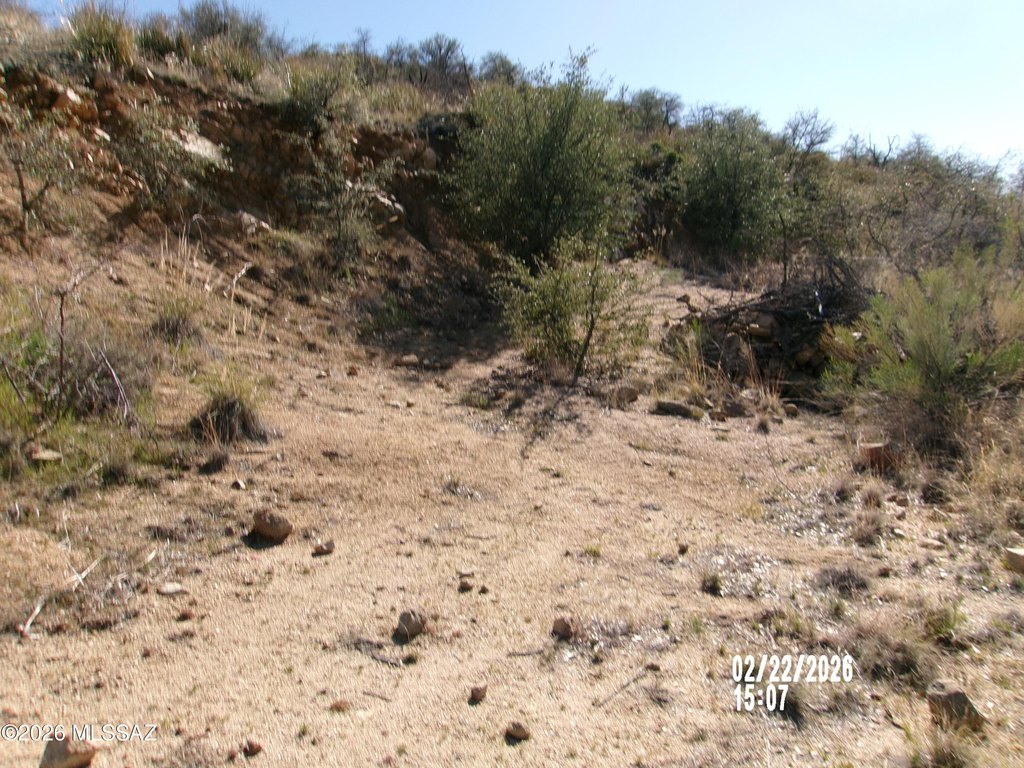 Picture 16