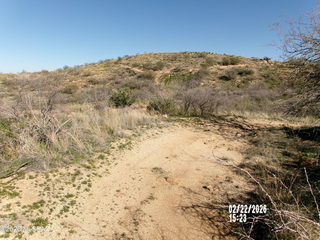 Picture 30