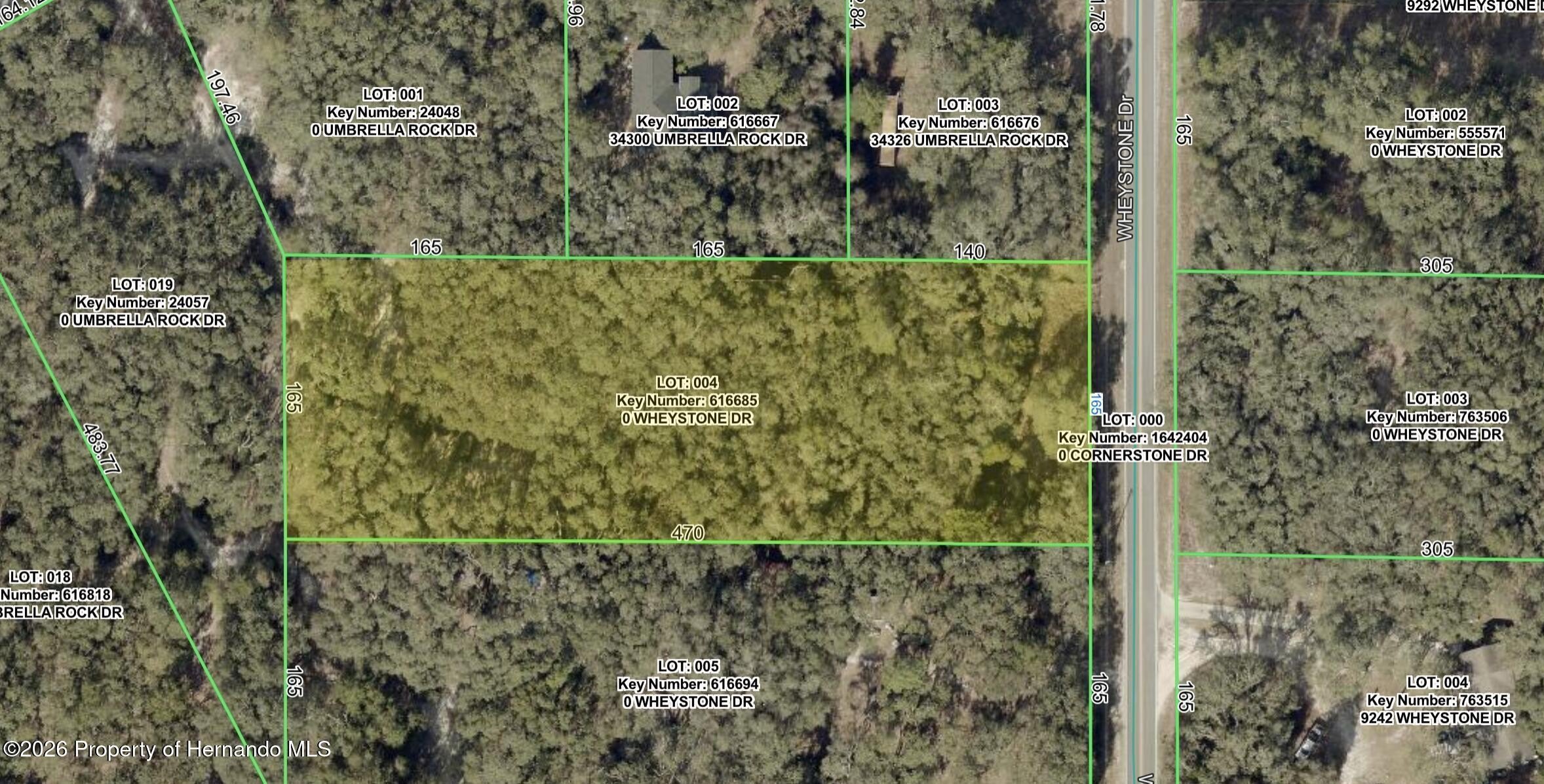 Oversized Lot in Ridge Manor