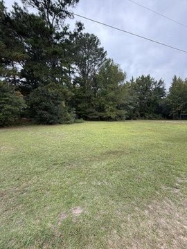 Land, Manning, SC