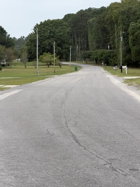 Picture 4