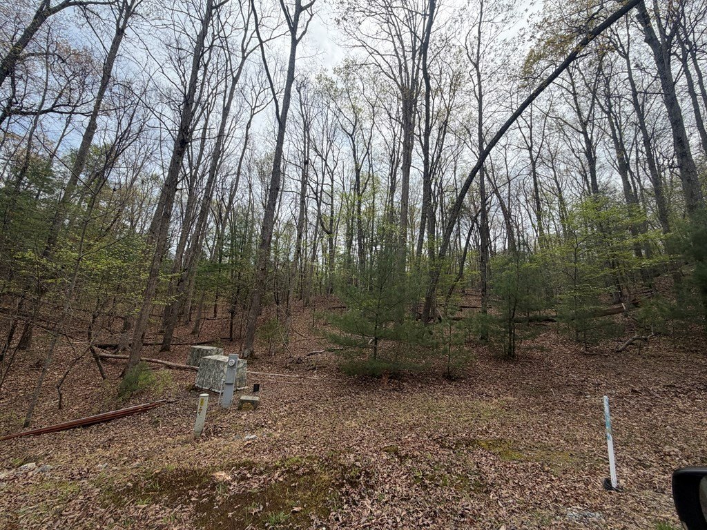 Picture 23