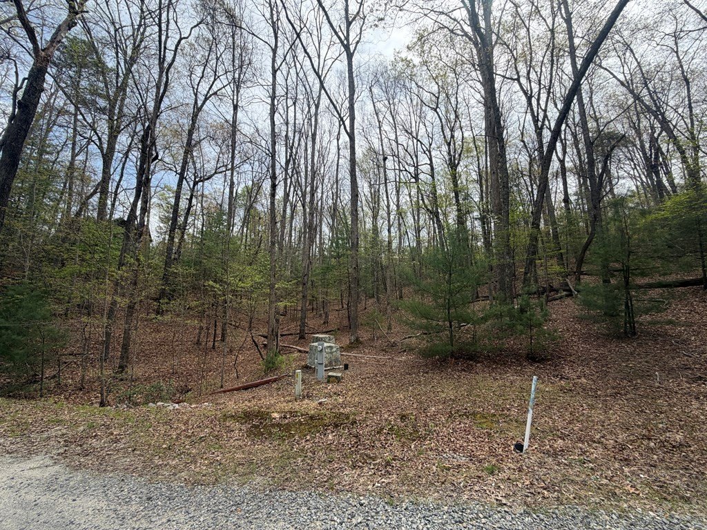 Picture 21