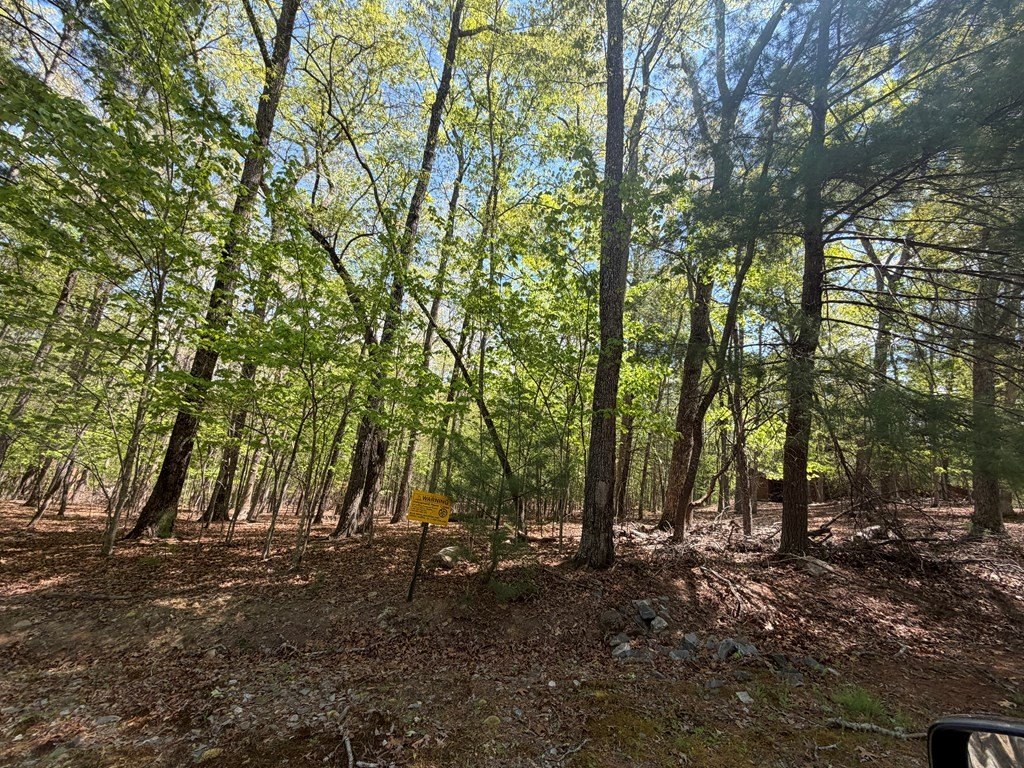 Picture 17