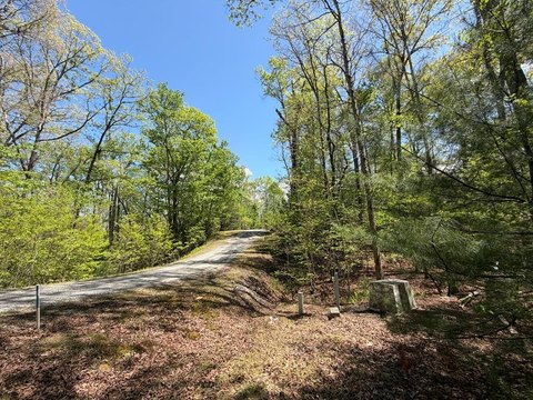 Morganton, GA Vacant Lot