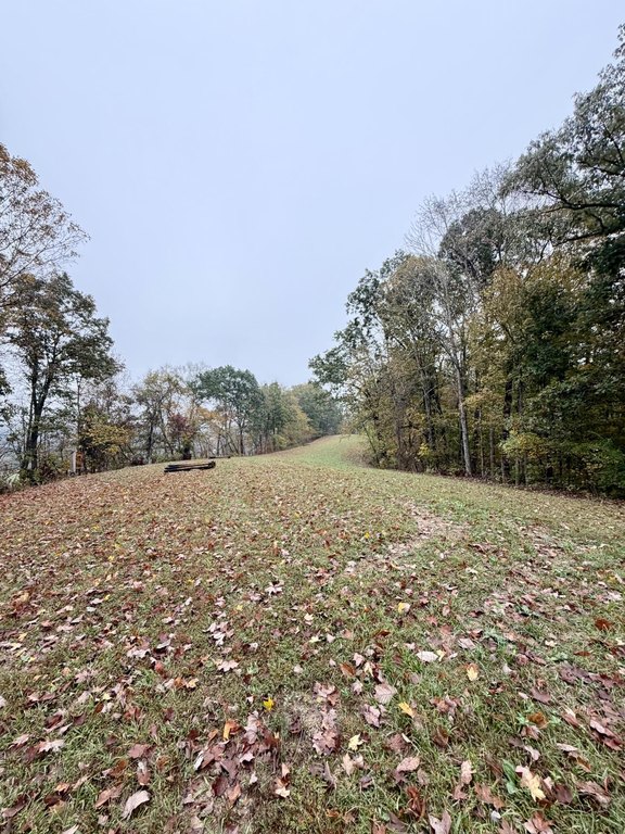 Picture 14