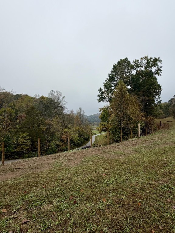 Picture 17