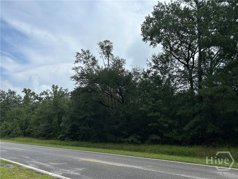 Land, Riceboro, GA