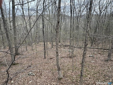 LAND - New Milford, CT