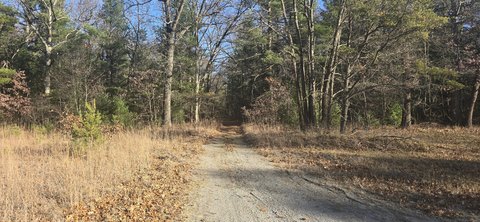 Land For Sale Twin Lake