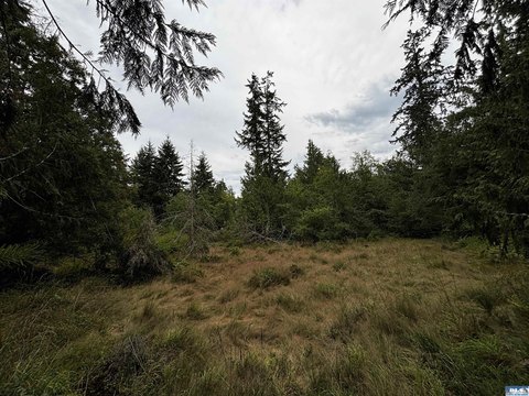 LAND - Port ANGELES, WA