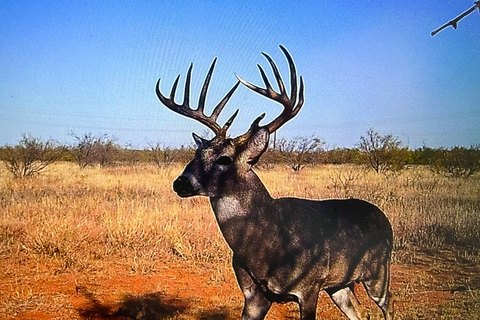 Fenced Pasture Hunting Tract