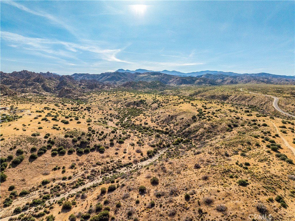 Picture 25