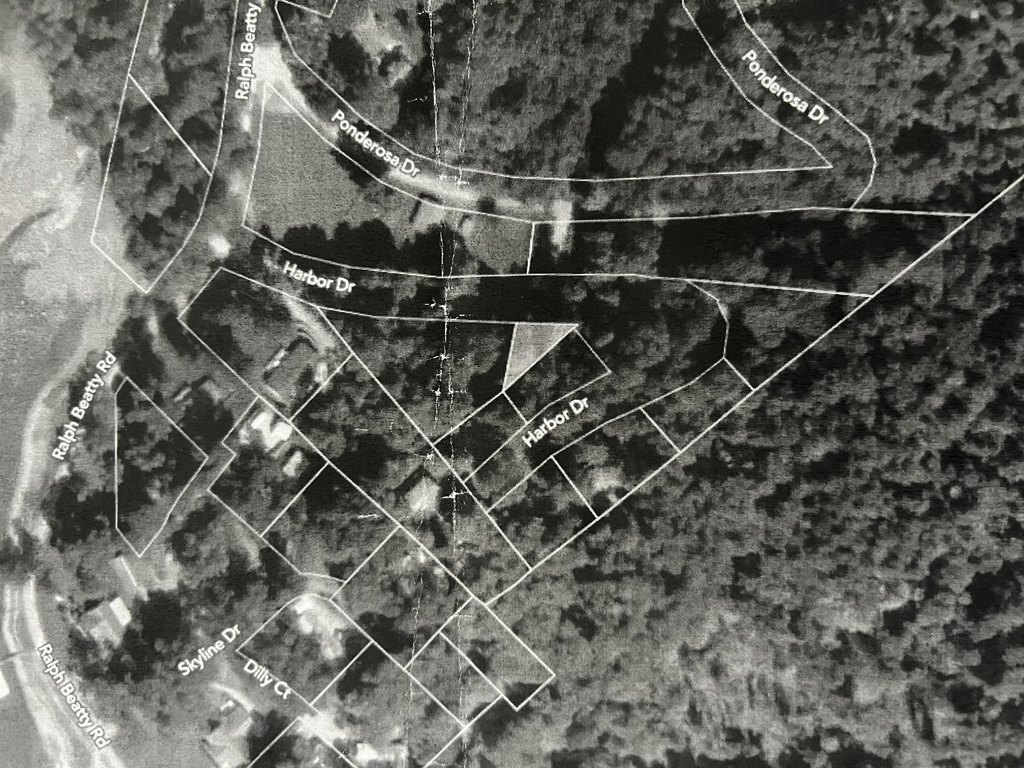 Picture 3