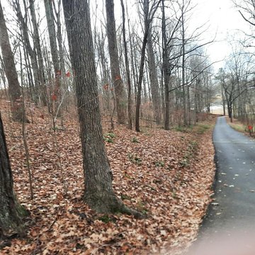 LAND - Eddyville, KY