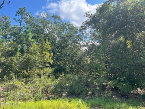 Secluded Lot in Chipley, FL
