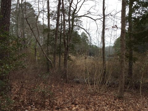 LAND - WICOMICO CHURCH, VA