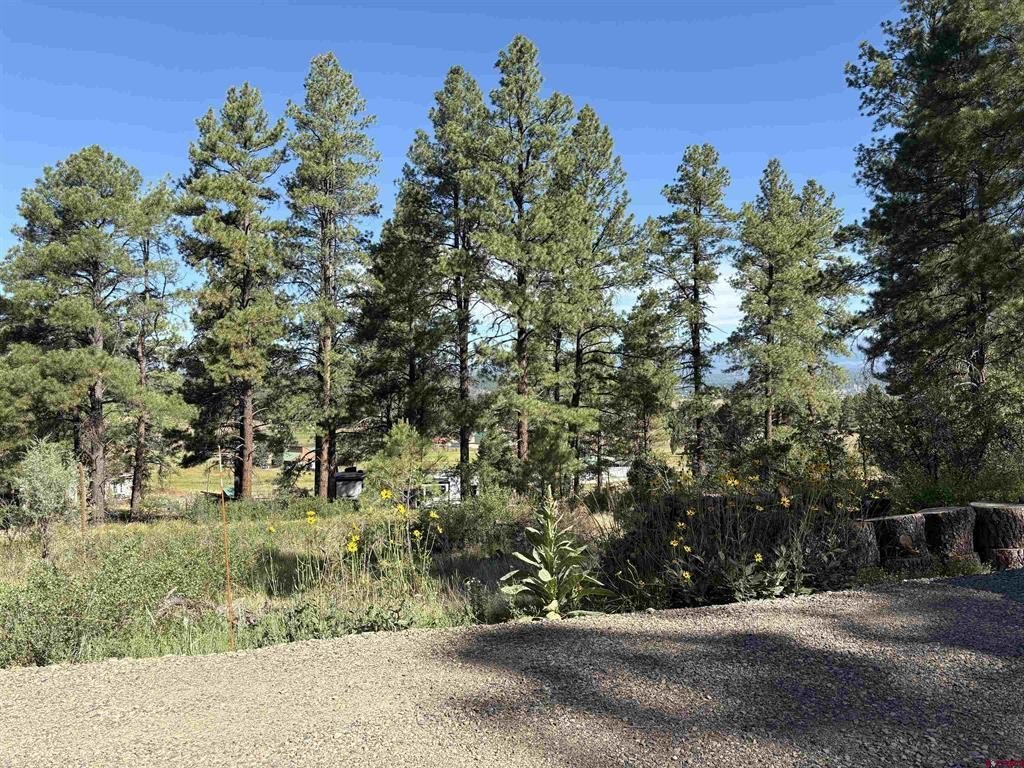 Picture 23