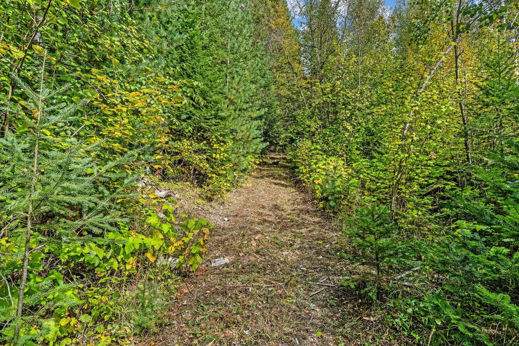 Picture 43