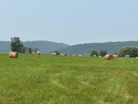 25 Acres Commercial Land, Buildings