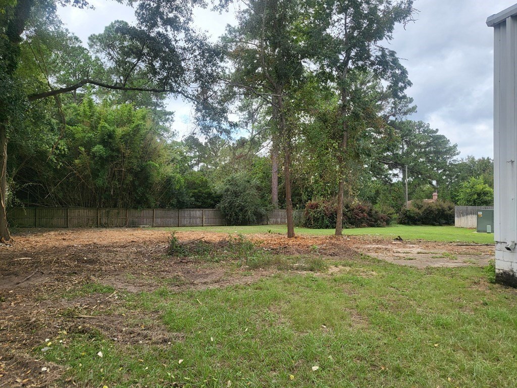 Picture 6