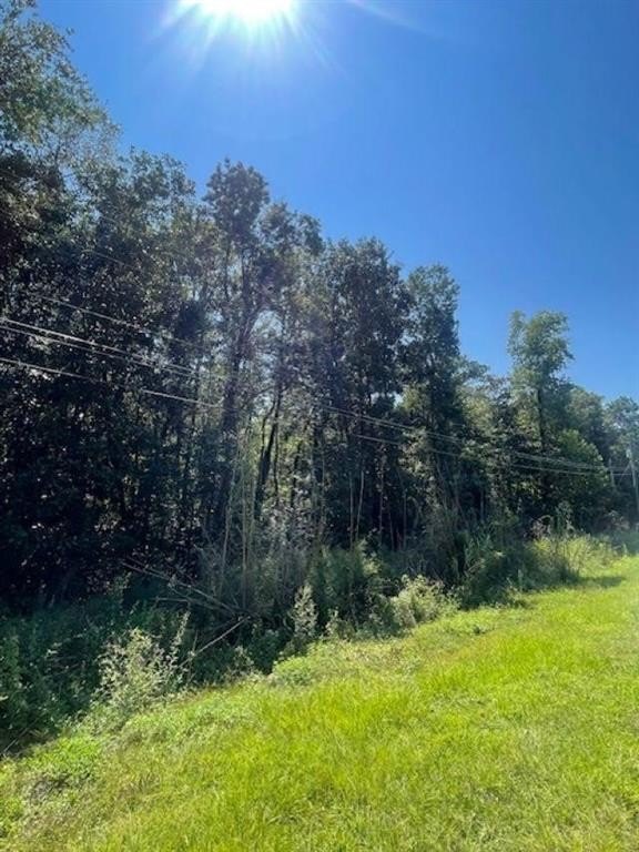 Undeveloped Lot on Quiet Street