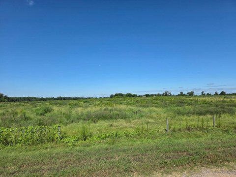 LAND - Dothan, AL