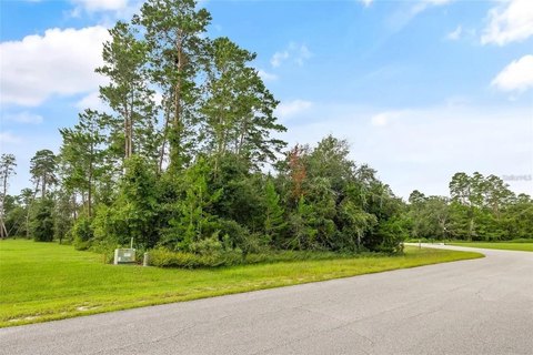 Undeveloped Residential Lot
