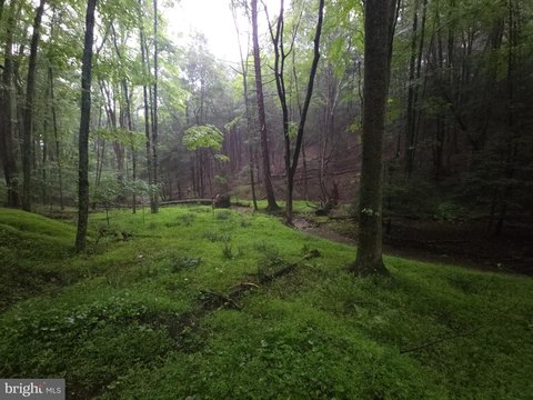 Wooded Land in Elliottsburg, PA
