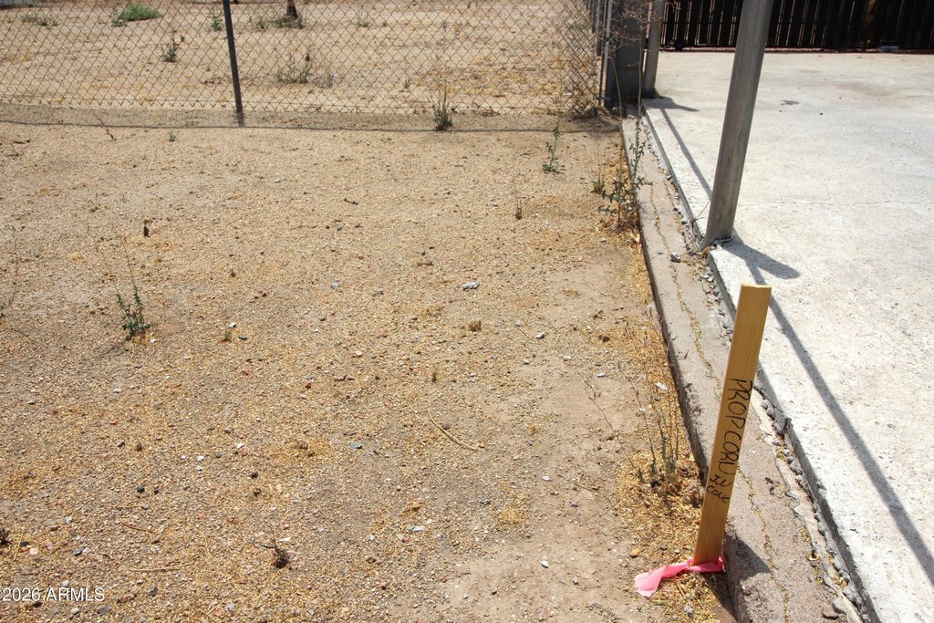 Picture 7