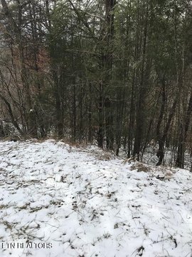 42 Acres Wooded Land, Oneida
