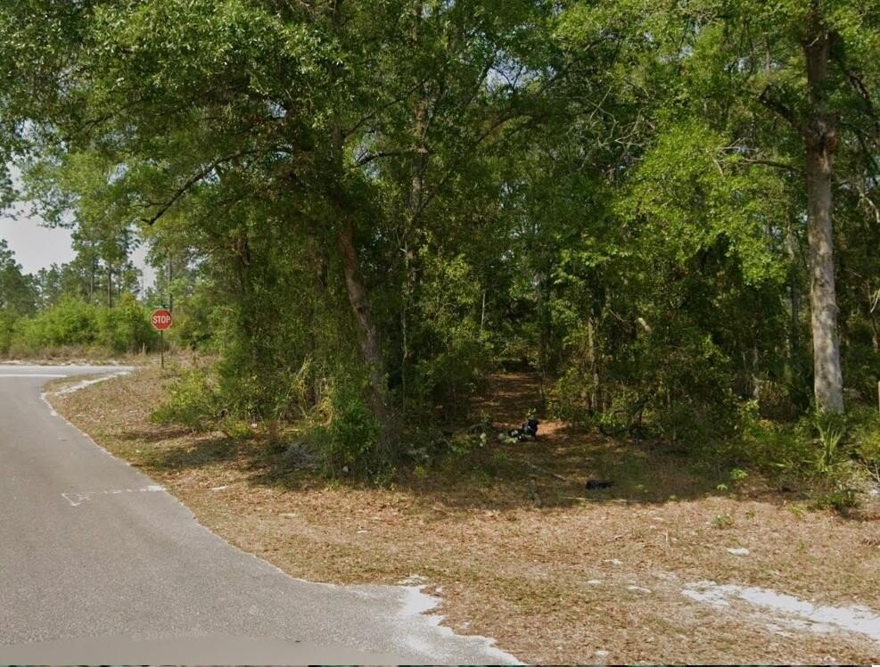 Picture 19