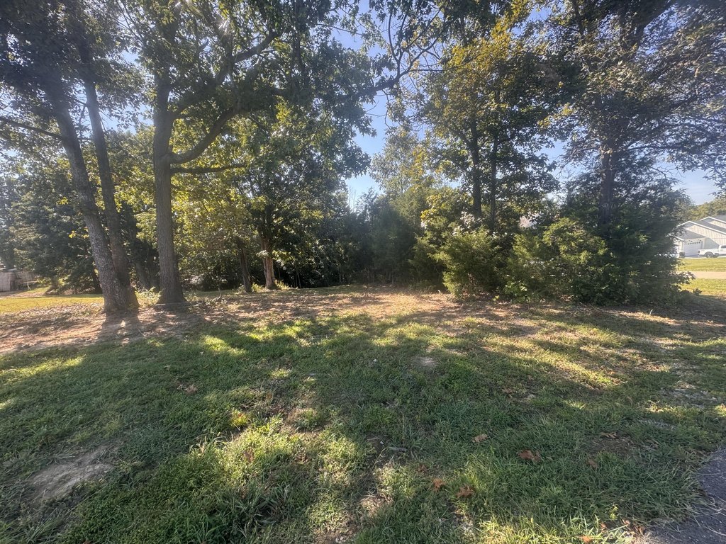 Picture 5