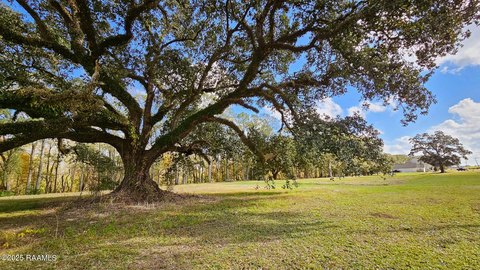 Bayou Teche Residential Land