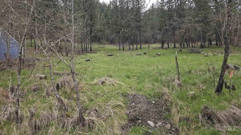 Buildable Lot in Peck, Idaho