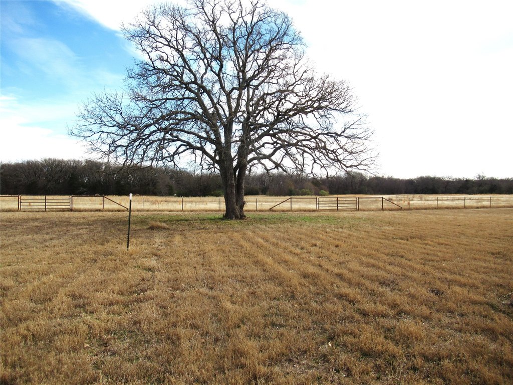 Picture 25