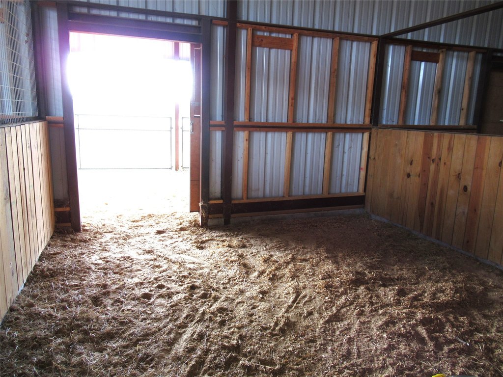 Picture 20