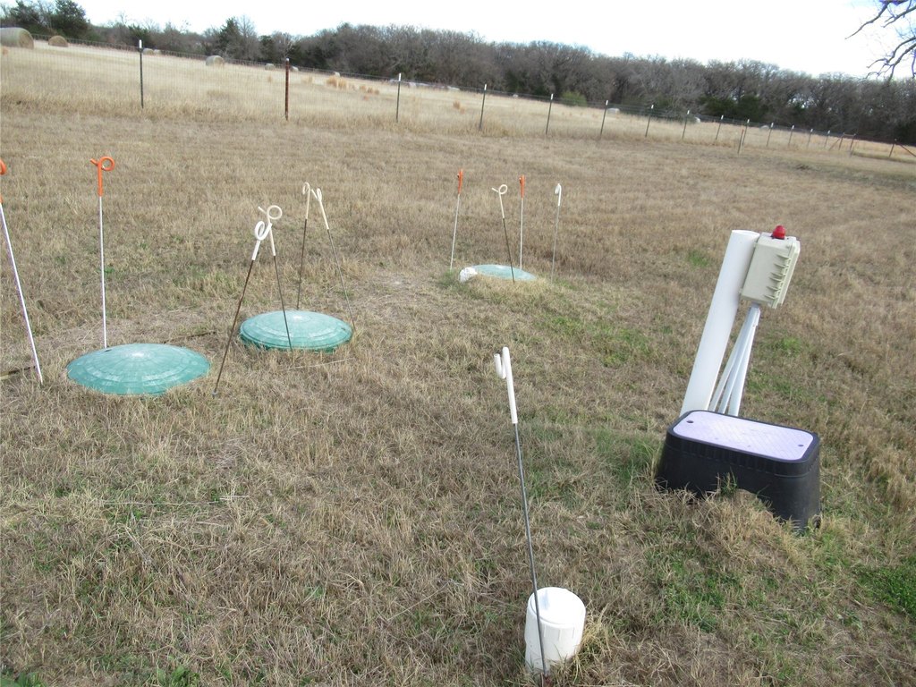 Picture 29