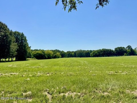 Land, Canton, MS