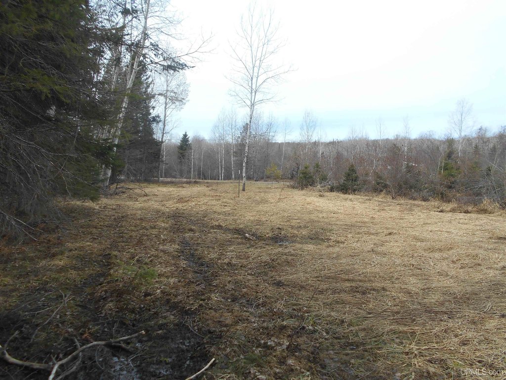 Picture 4